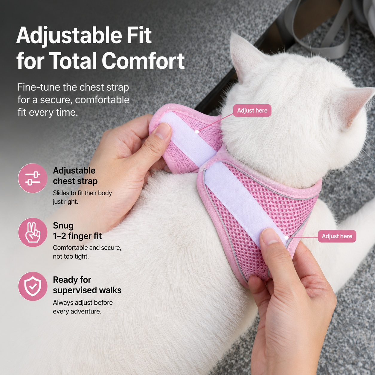 Catsplorer™ Adventure Harness