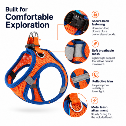 Catsplorer™ Adventure Harness